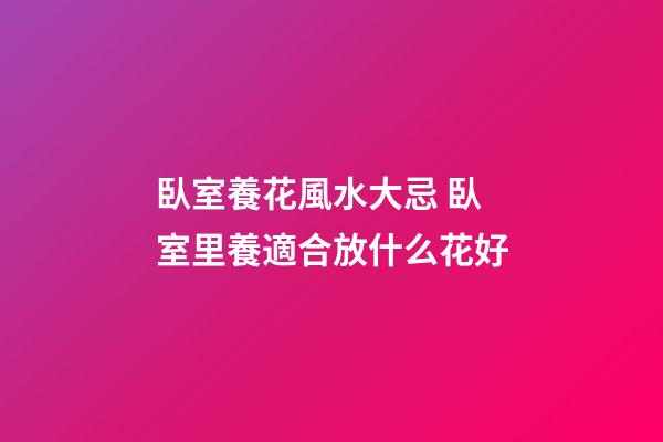 臥室養花風水大忌 臥室里養適合放什么花好